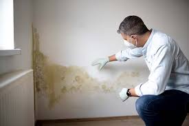 Mold Removal for HVAC Installations in Ellisville, MO